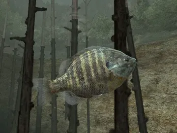Reel Fishing III screen shot game playing